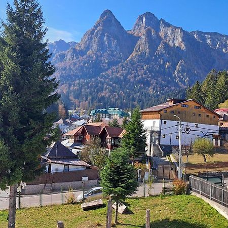 Vila Panoramic Buşteni Esterno foto