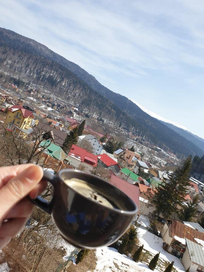 Vila Panoramic Buşteni Esterno foto