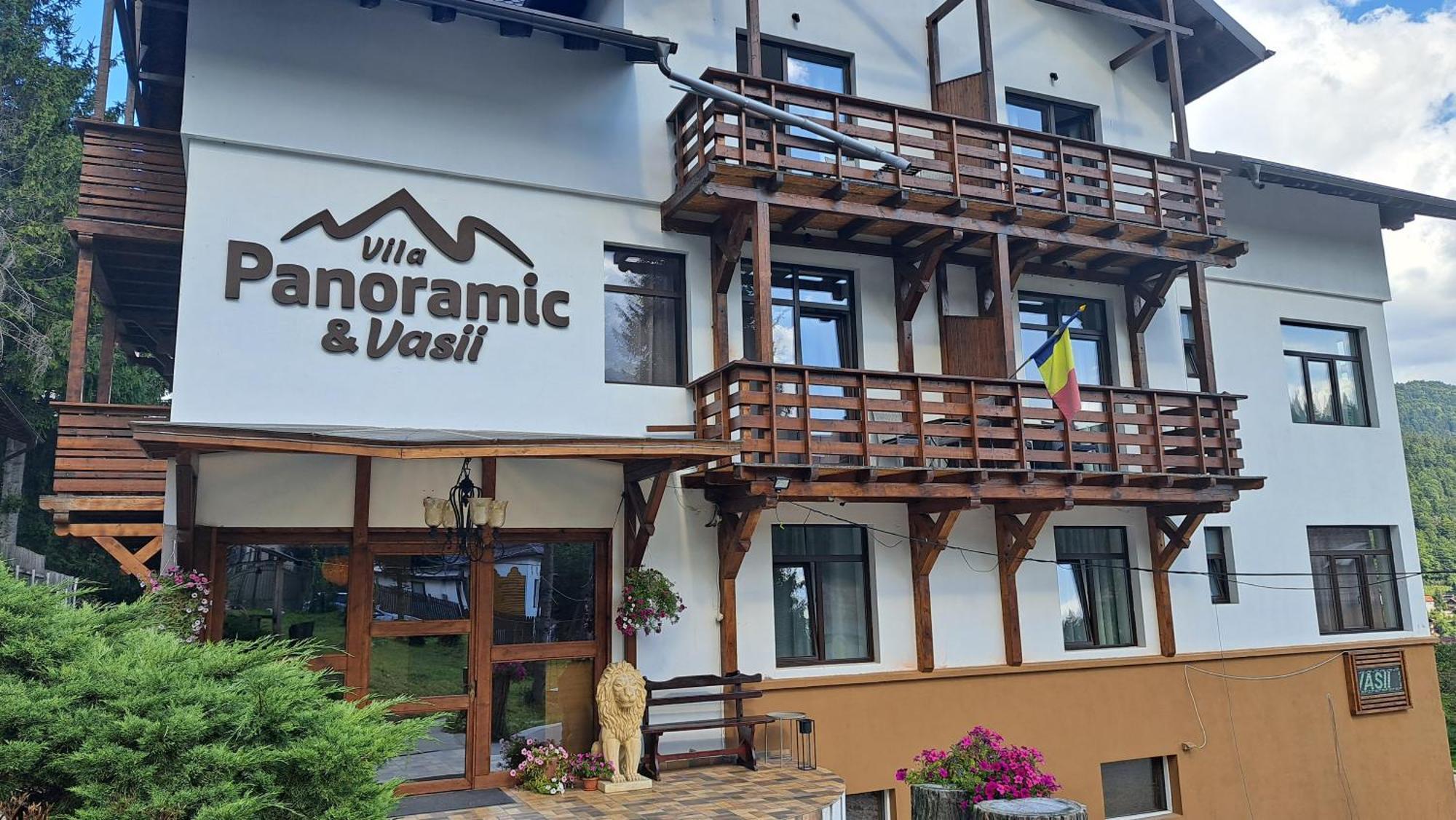 Vila Panoramic Buşteni Camera foto