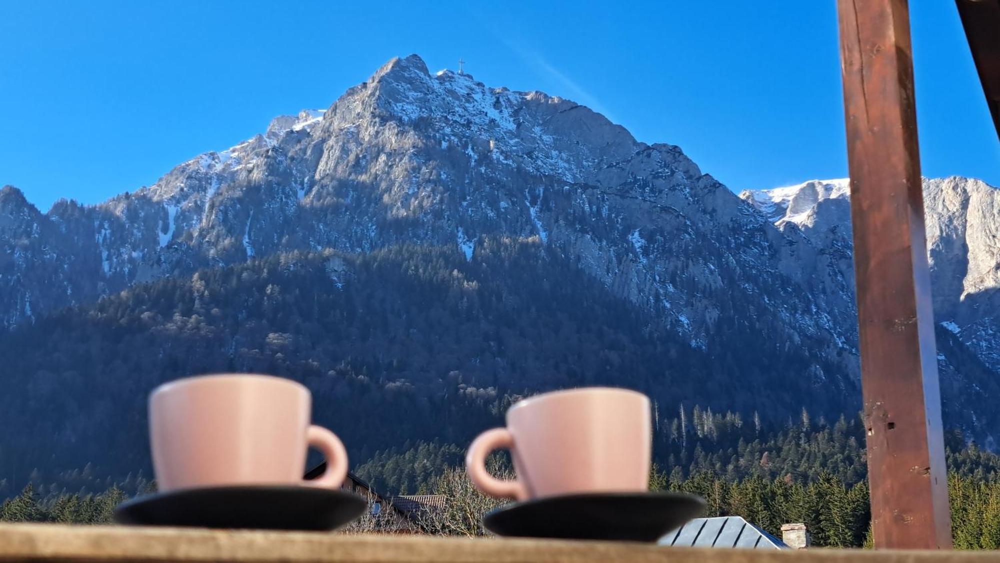 Vila Panoramic Buşteni Esterno foto